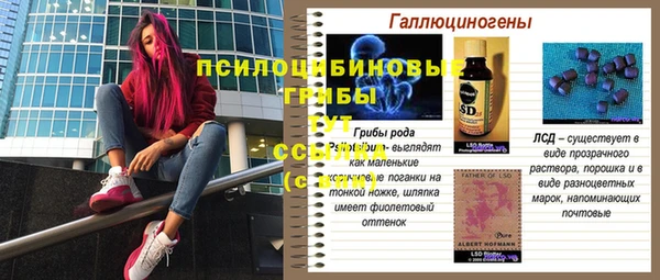 spice Краснослободск
